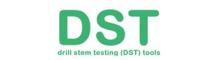 China DST Oiltools Co., Ltd logo