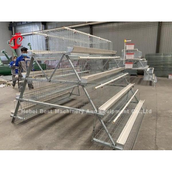 Galvanized Steel Layer Chicken Cage System Sandy