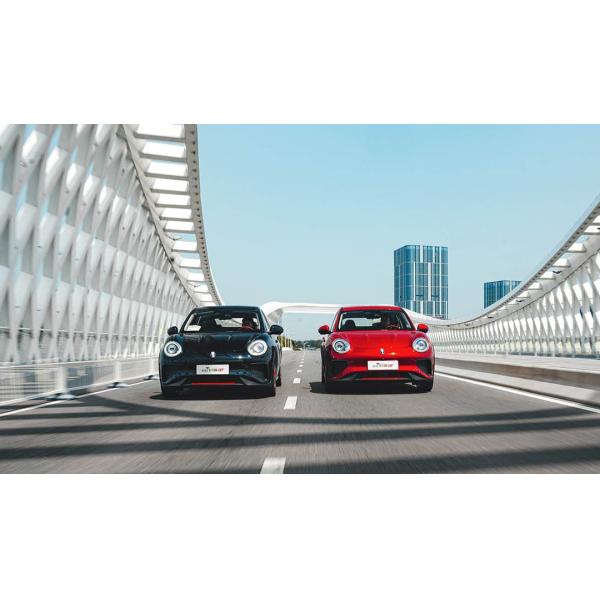Great Wall ORA Good Cat GT 401km Version 0.5h Fast Charging New Energy Vehicle
