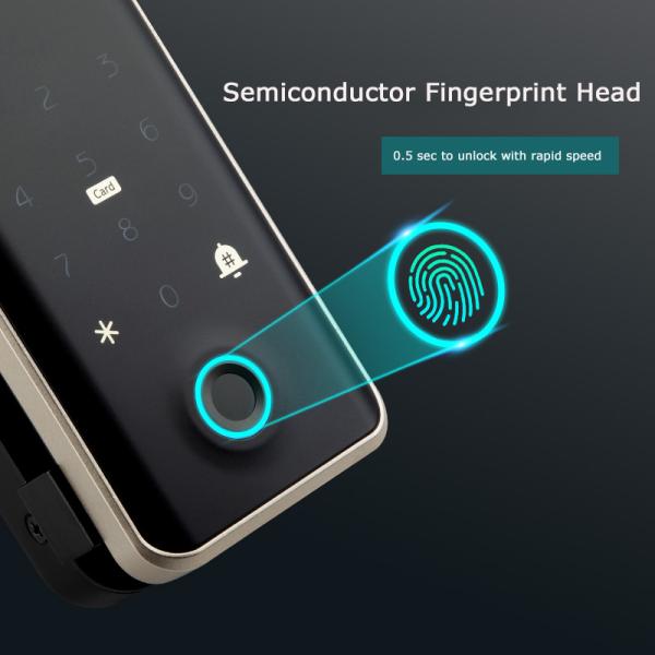 G3S Glass Door Smart Lock TTlock App Key Password Card Fingerprint Digital Lock