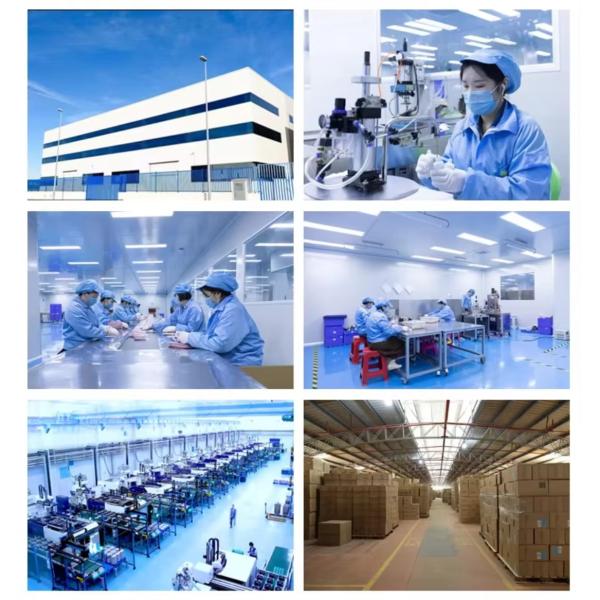 Luxury Brand Mini Perfume Women Perfume Spray Lady Long Lasting Smell Flower Story Floral Fragrance Perfumes