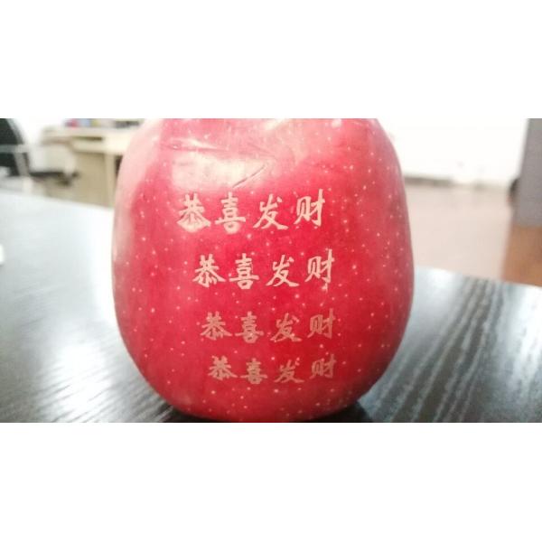 Industrial 110*110mm 20W CO2 Marking Machine with Easy-to-use Marking Software Interface