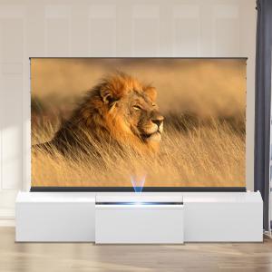 Laser TV Cabinet 100-150inch Modern Projector Cabinet
