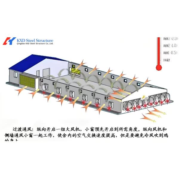 Silo Galvanized Poultry House Equipment Automatic Broiler Chicken Poultry Farm
