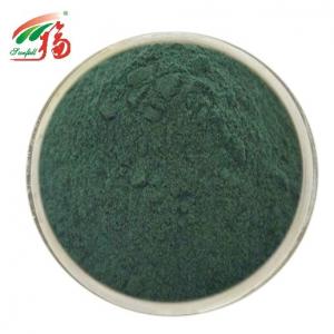 Cheap Sodium Copper Chlorophyll Powder Pure Natural Extract For Health Products wholesale