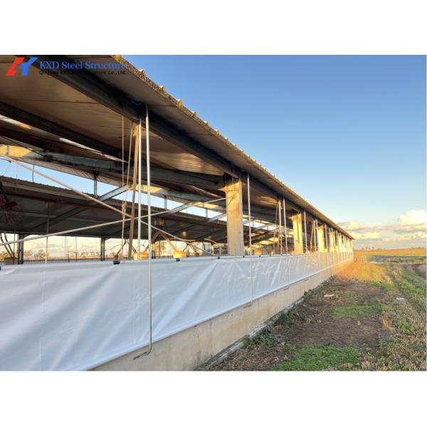 Stainless Steel Piggery Farm Equipment Automatic Pig Feeder / Double Pig Trough