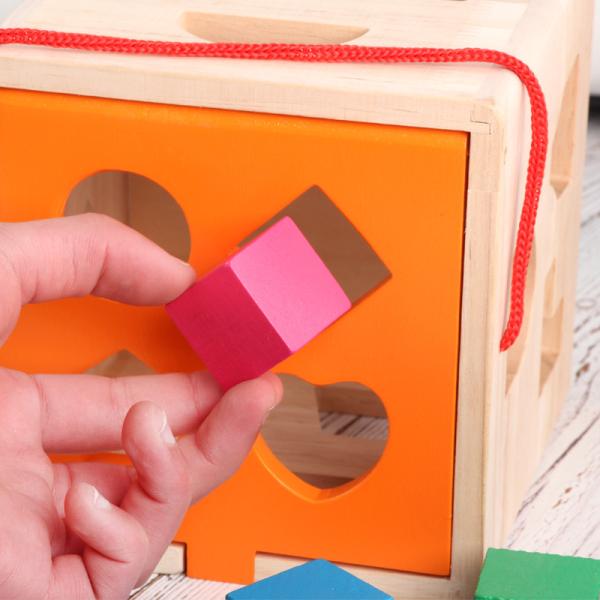 Wooden 16 Hole Intelligence Box Children Color Cognitive Shape Matching AIDS