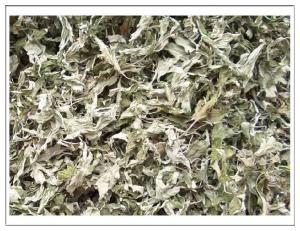 Cheap Chinese mugwort leaf wholesale
