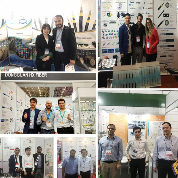 Custom Length Fiber optic patch cord Simplex SC SC UPC/APC G652D 9/125 SM Optical Fiber