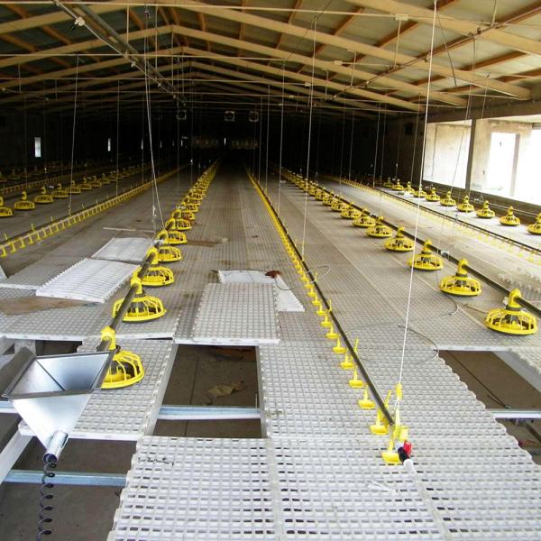 Complete Auto Broiler Poultry Farm System For Chicken Water