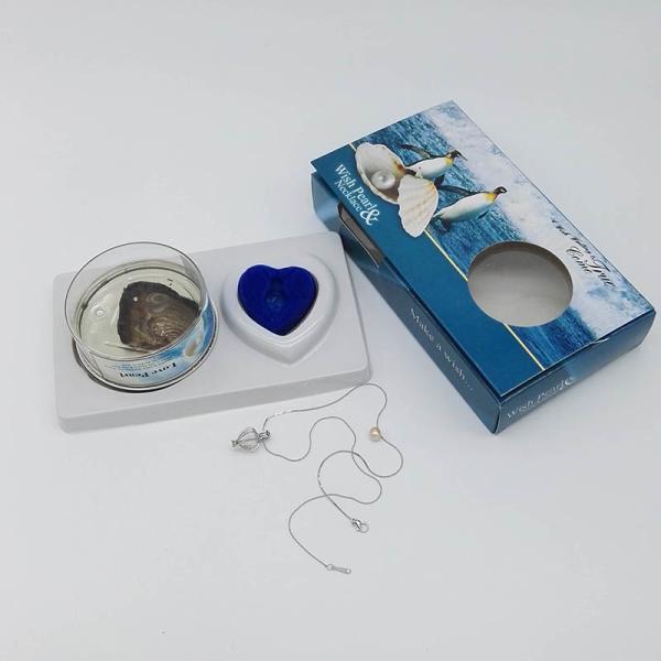 Perfect Freshwater Pearl Jewelry Gift-Wish Pearl Gift Necklace Set with Color Box Packing