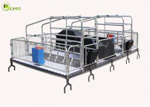 Cheap Automatic Pig Farrowing Crate , Pig Farrowing Pen Modern System wholesale