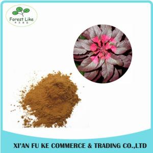 Cheap Best Price Food Color Natural Amaranth Pigment Red wholesale