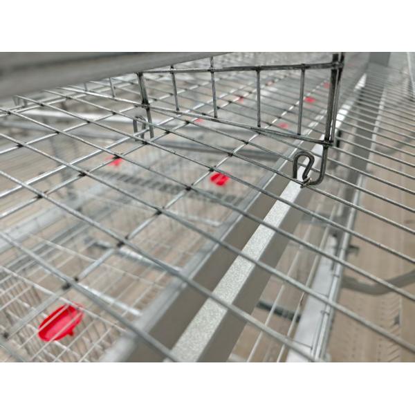 Stable Performance Layer Chicken Cage System in Morocco