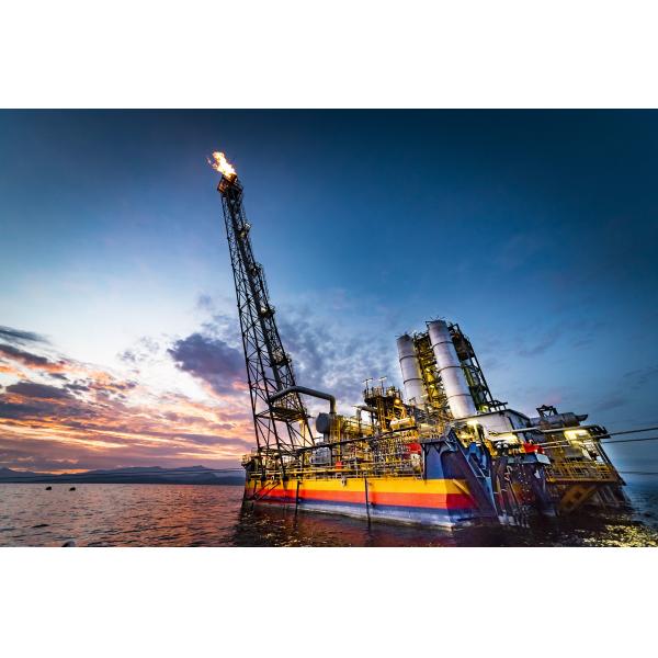 Three Wavelength Triple Infrared Flame Detector IP66 Explosion Proof Dustproof