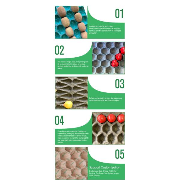 Wholesale 100% Biodegradable Kraft Paper Pulp Fruit Tray Liner Eco-Friendly Protection Packaging for Food Use