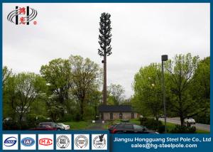China 30m Steel Disguised Pine Tree Telecommunication Towers Polygonal Galvanized on sale
