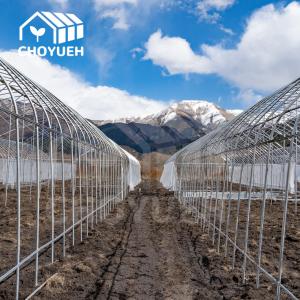 Cheap Galvanized Steel Pipes Poly Film Greenhouse With Accessories wholesale