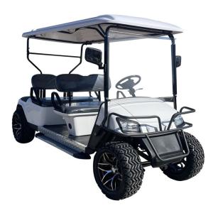 Golf cart manufacturers of electric sightseeing scenic tour
