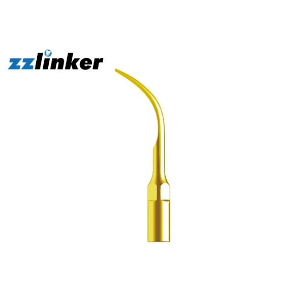 Home Dental Ultrasonic Scaler , Ultrasonic Tips Dental Hygiene Gold Plated Different Model