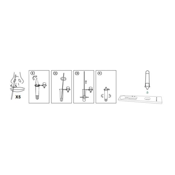 Common Use for Cat and Dog Toxoplasma Gondii TOXO Antigen Test Rapid Test Method