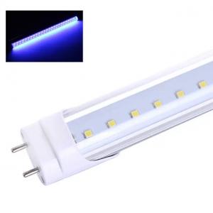 Cheap T8 365nm UVA LED Ultra Violet Tube Light Lamp With 12V DC, 24V DC For Insect Killer wholesale
