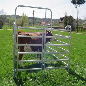 Cheap Hot Dipped Galvanized Cattle Panels Yard Fence Panels Fit Australia And New Zealand wholesale