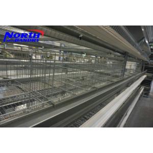 China Poultry Farm Layer Chicken Cage For Chicken Farm Sales on sale