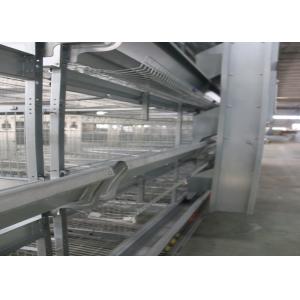 Cheap Healthy Automated Poultry Equipment Good Daylight And Ventilation wholesale