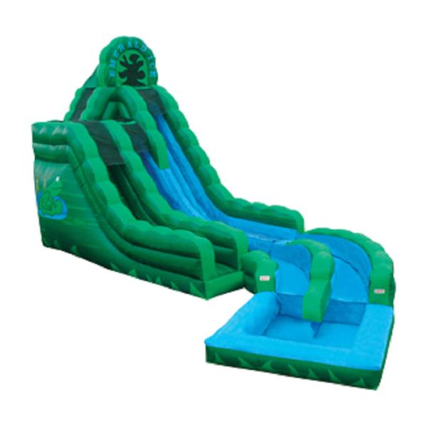 Emerald Green Frog Fun Water Slides , Inflatable Double Rush Slip Wet Slide