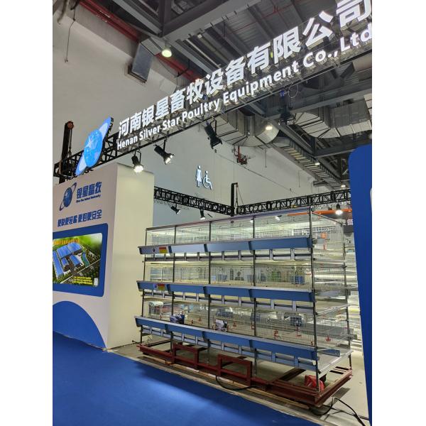 Hot Galvanizing Poultry Farm Cage , 3 / 4 Tiers Chicken Steel Cage For Layers Chickens