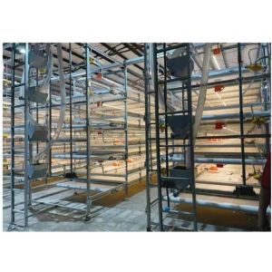 Cheap Automatic Harvesting Broiler Cage Steel Poultry Houses wholesale