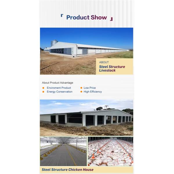 Commercial Prefabricated Steel Building Durable Easy Install For Broiler Chickens Farms