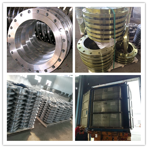 DIN Pn16 12 Inch Carbon Steel Pipe Plate Flange Forged