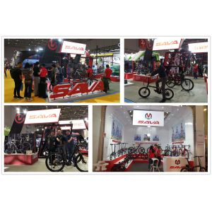 Huizhou SAVA Bicycle Co., Ltd.