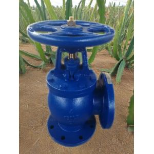 Cheap ANSI angle valve wholesale