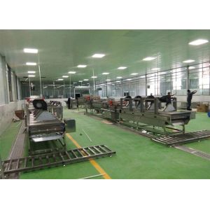 3T Leaf Salad Vegetable Washing Processing Line Customized