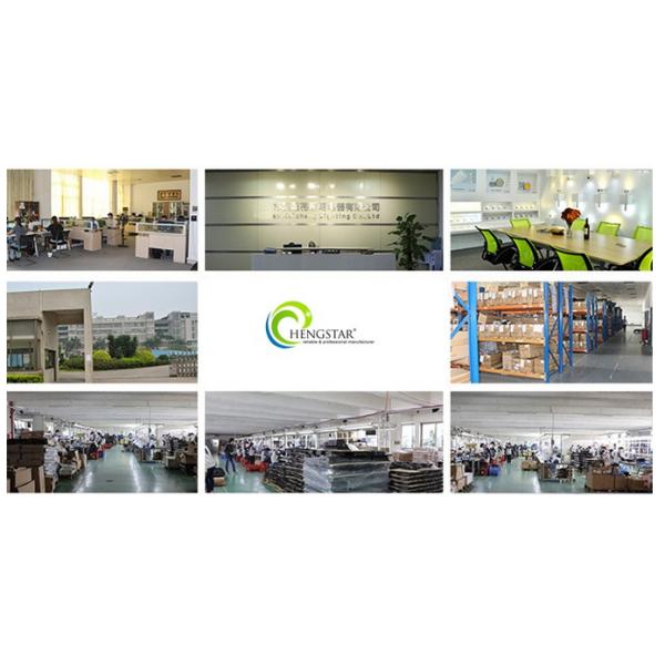 Adjustable Outdoor Lawn Lights 5w , Ground Spike Lights 50000h Working Lifetime