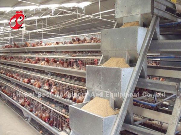 Semi Automatic Poultry Layer Cage 15000 Birds Manual Poultry Cage In Nigeria Iris