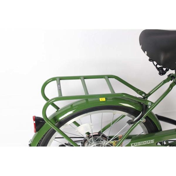 Variable Six Speed Steel City Bikes 20 Inch Frame Ladies Bike OEM DOM