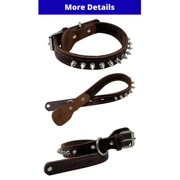 Durable Stylish Secure Adjustable Spiked Genuine Leather Dog Collar