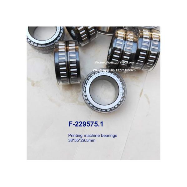 F-229575.1 F-229575 printing machine bearings full complement cylindrical roller bearings 38*55*29.5mm