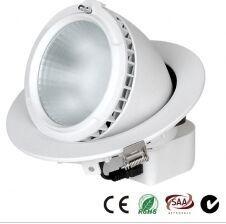 China hot 20W 3000K led downlight Warm White Of Led Trunk Light long life span Led Ceiling Light on sale