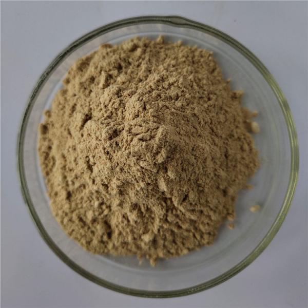 Anti-bacterial Peppermint Extract Halal In Bulk Stock