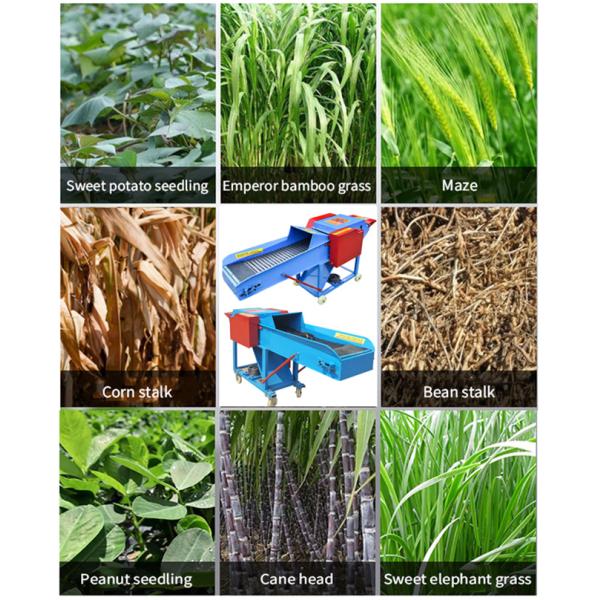 5.5KW Home Use Silage Making Machine Straw Hay Grass Cutter
