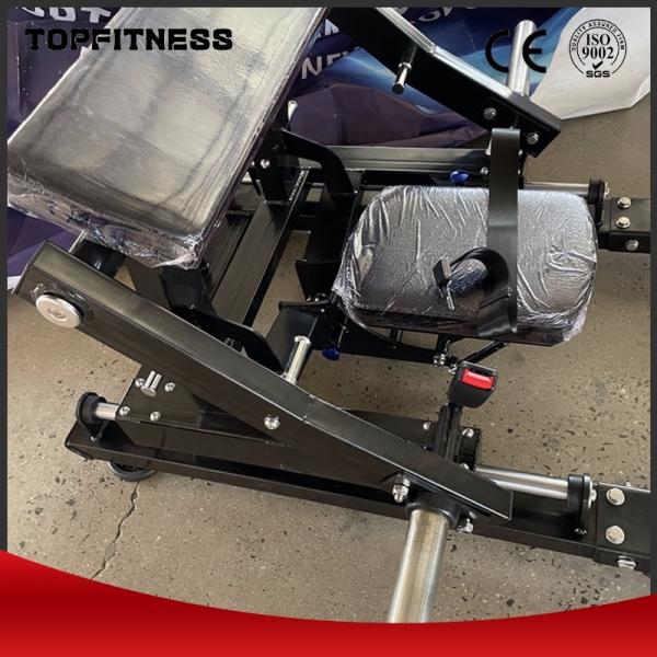 Commercial Fitness Plate Loaded Hip Thrust Machine/ Glute Thrust Equipment/ Glute Bridge Machine