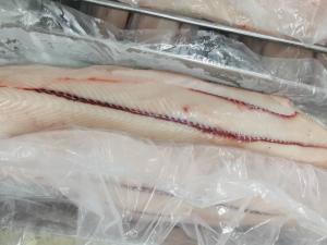 Cheap 2kg Sail Fish IQF Freezing Seafood HGT Frozen Marlin bone wholesale