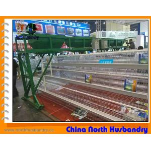Cheap Poultry Cages - Battery Cages, Layer Cages, Poultry Equipments wholesale