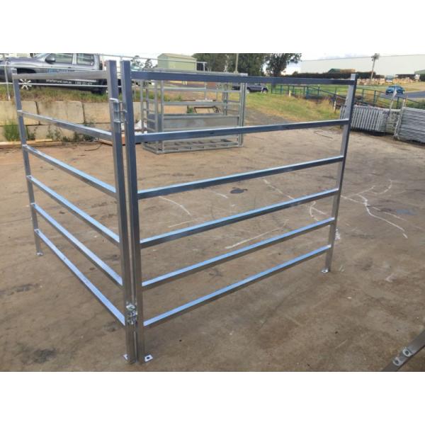 Cattle Panels System