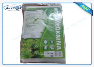 China White Color PP Nonwoven Fabric for Reducing Pest And Diseases Of The Tree on sale